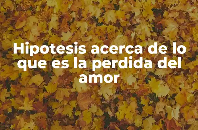 Hipotesis Acerca de Lo que es la Perdida Del Amor