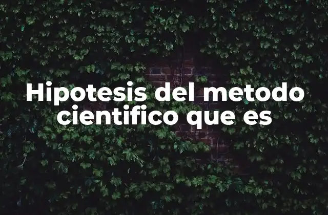 Hipotesis Del Metodo Cientifico que es