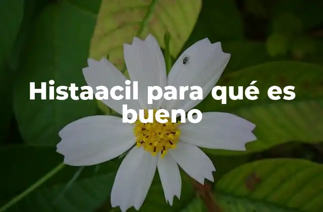 Histaacil para Qué es Bueno