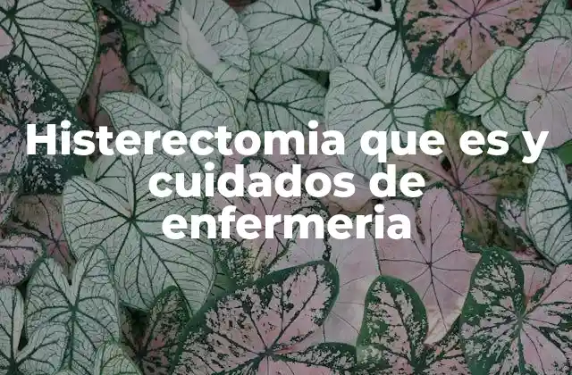Histerectomia que es y Cuidados de Enfermeria