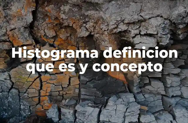 Histograma Definicion que es y Concepto