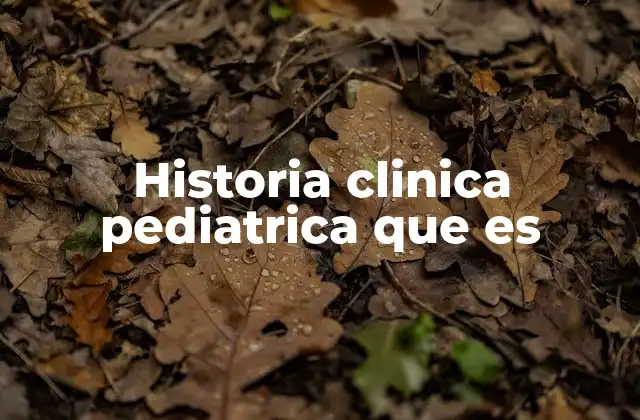Historia Clinica Pediatrica que es