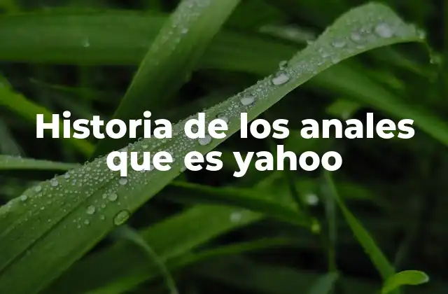Historia de los Anales que es Yahoo