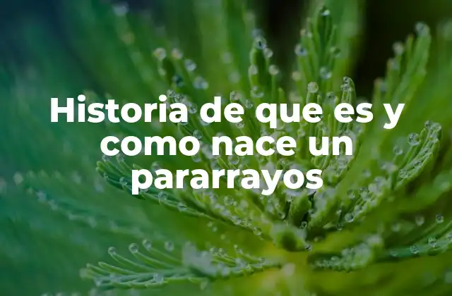 Historia de que es y como Nace un Pararrayos 2 El nacimiento de la protección contra descargas eléctricas
