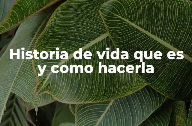 Historia de Vida que es y como Hacerla