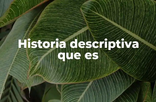 Historia Descriptiva que es