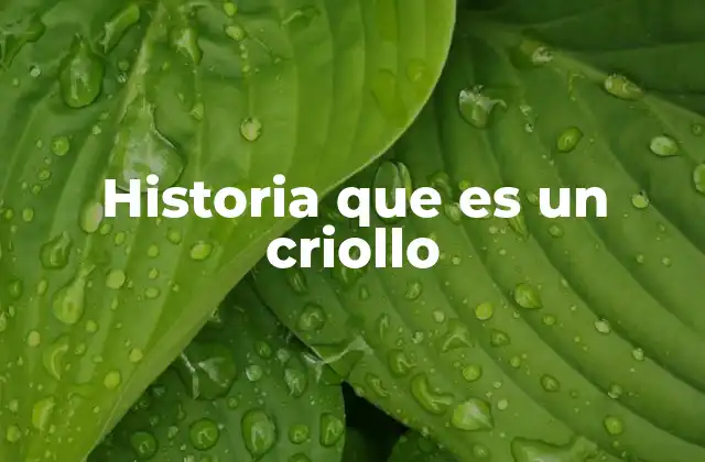 Historia que es un Criollo 2 Las raíces del criollismo en la historia americana