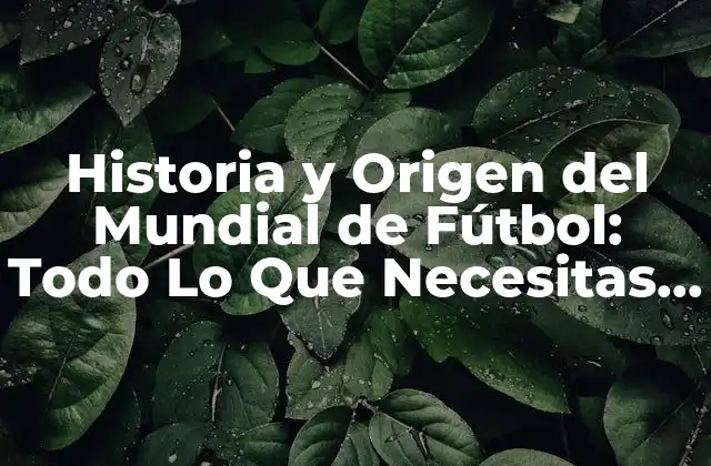 Historia y Origen Del Mundial de Fútbol: Todo Lo que Necesitas Saber