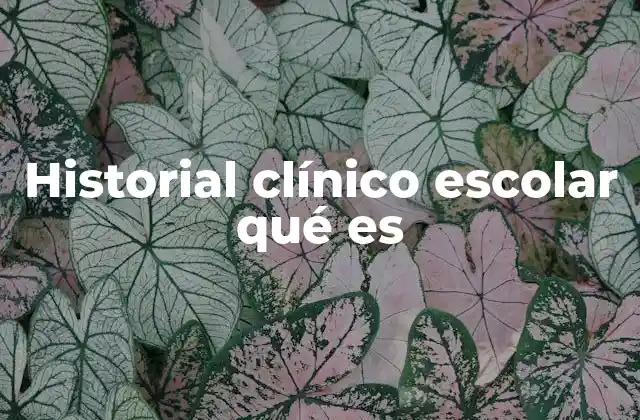 Historial Clínico Escolar Qué es