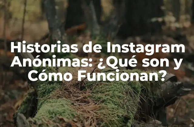 Historias de Instagram Anónimas: ¿qué Son y Cómo Funcionan?