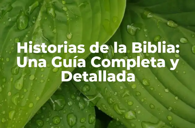 Historias de la Biblia: una Guía Completa y Detallada