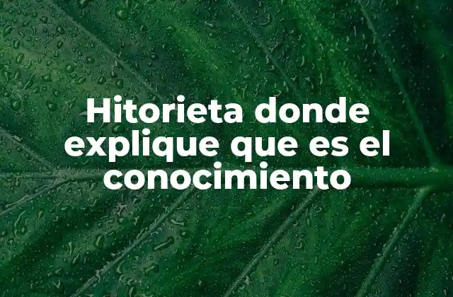 Hitorieta Donde Explique que es el Conocimiento