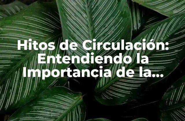 Hitos de Circulación: Entendiendo la Importancia de la Circulación Sanguínea
