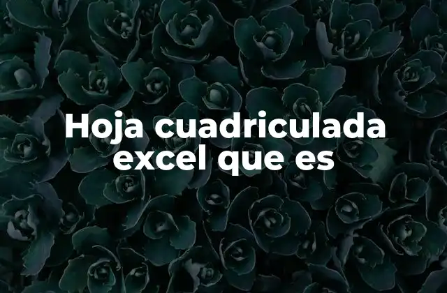 Hoja Cuadriculada Excel que es