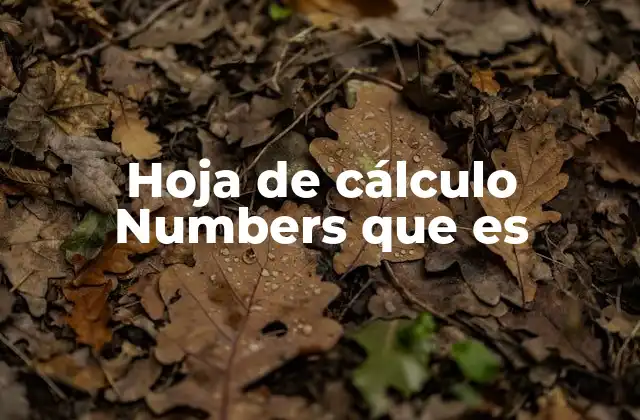 Hoja de Cálculo Numbers que es