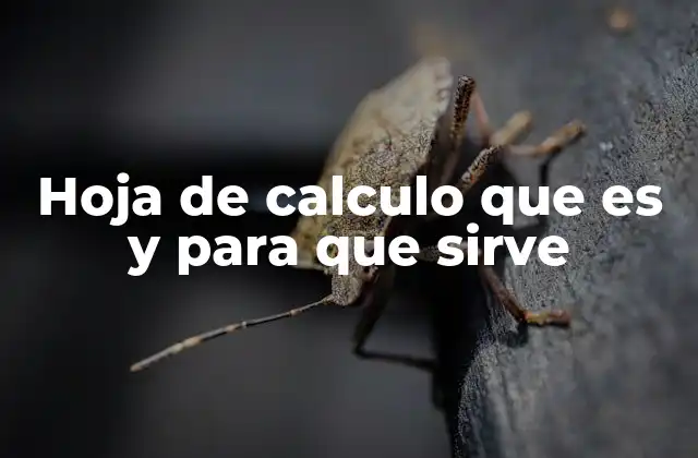 Hoja de Calculo que es y para que Sirve