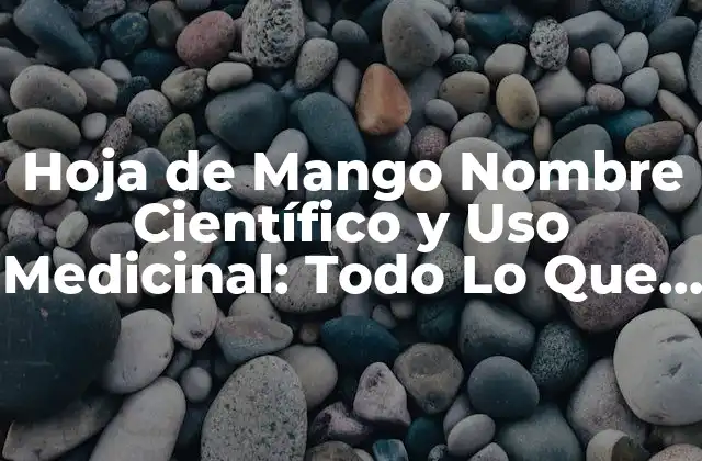 Hoja de Mango Nombre Científico y Uso Medicinal: Todo Lo que Necesitas Saber