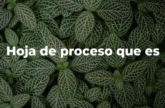 Hoja de Proceso que es