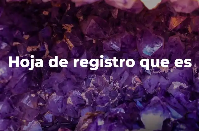 Hoja de Registro que es