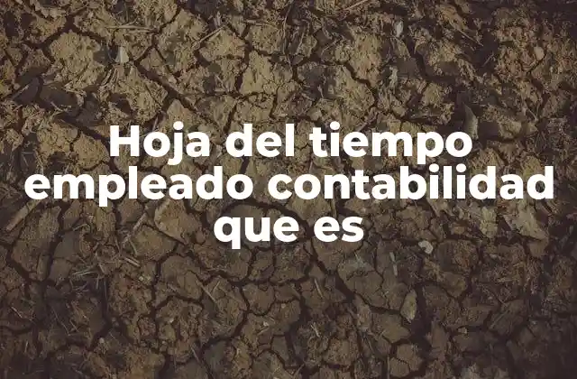 Hoja Del Tiempo Empleado Contabilidad que es