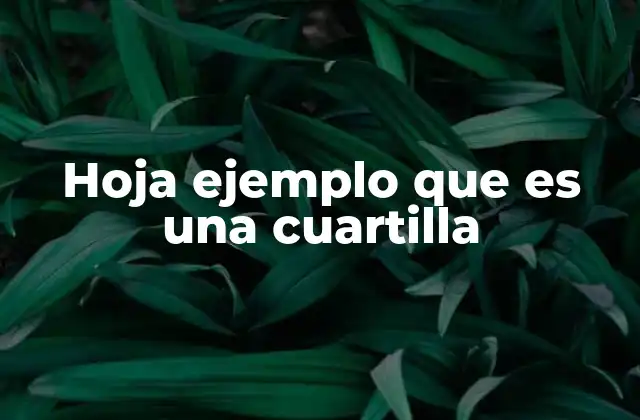 Hoja Ejemplo que es una Cuartilla