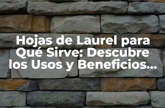 Hojas de Laurel para Qué Sirve: Descubre los Usos y Beneficios de Esta Hierba Milagrosa