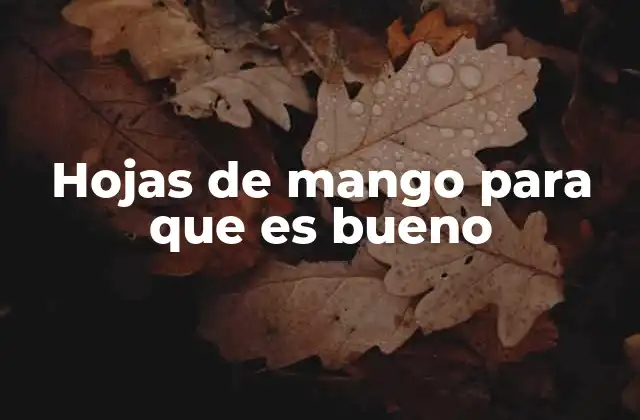 Hojas de Mango para que es Bueno
