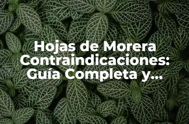 ¿Qué son las Hojas de Morera y Cómo Funcionan?