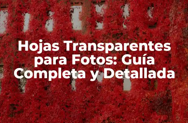 Hojas Transparentes para Fotos: Guía Completa y Detallada