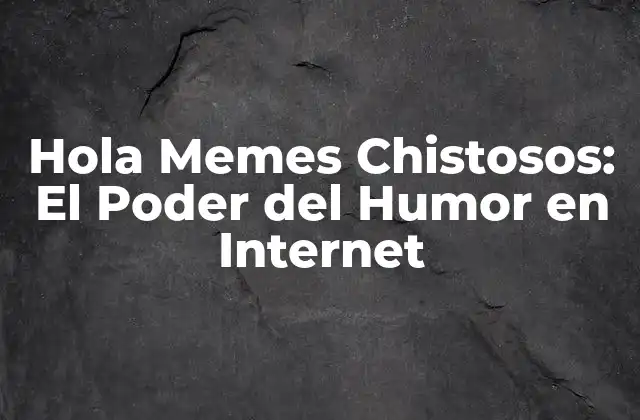 ¿Qué son los Memes Chistosos?