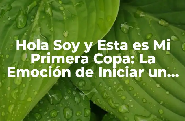 Hola Soy y Esta es Mi Primera Copa: la Emoción de Iniciar un Nuevo Camino