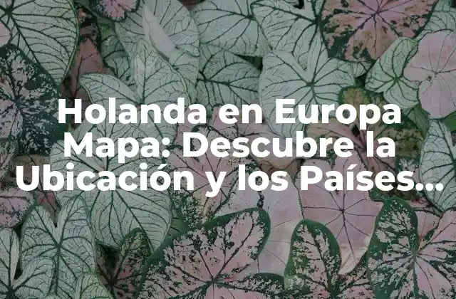 Holanda en Europa Mapa: Descubre la Ubicación y los Países Vecinos de los Países Bajos