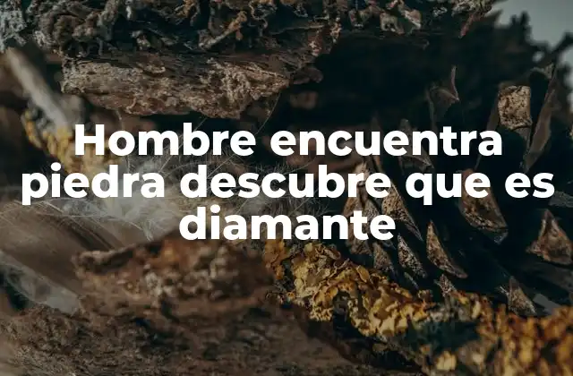 Hombre Encuentra Piedra Descubre que es Diamante