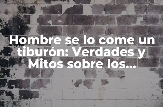 Hombre Se Lo Come un Tiburón: Verdades y Mitos sobre los Ataques de Tiburones