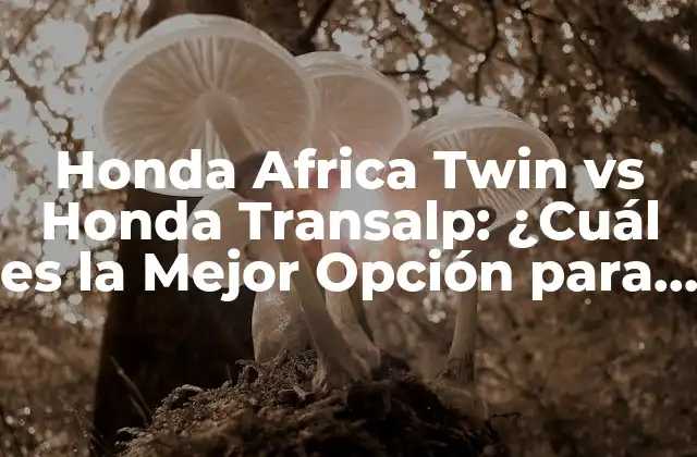Honda Africa Twin Vs Honda Transalp: ¿cuál es la Mejor Opción para Usted?
