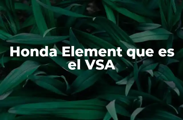 Honda Element que es el Vsa