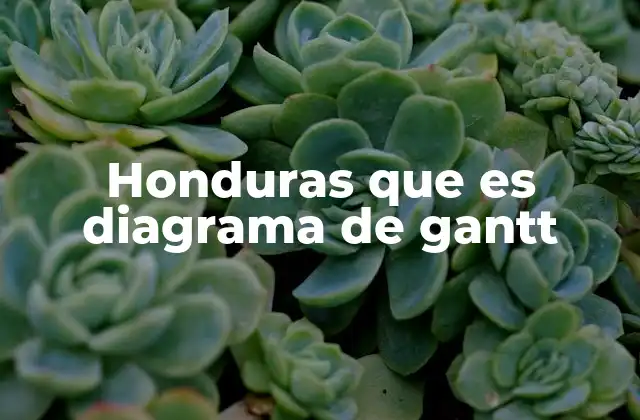 Honduras que es Diagrama de Gantt