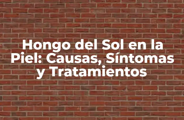 Hongo Del Sol en la Piel: Causas, Síntomas y Tratamientos 2 ¿Qué es el Hongo del Sol en la Piel?