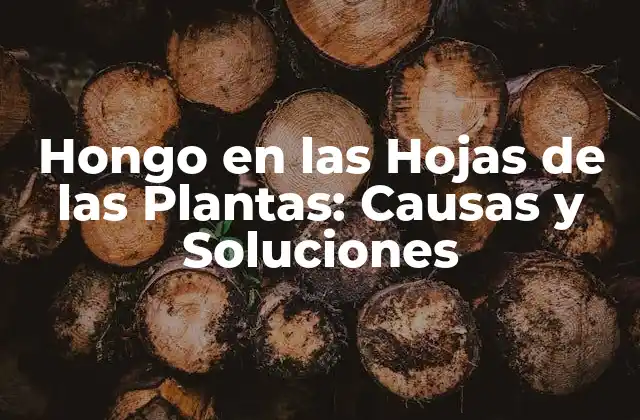 Hongo en las Hojas de las Plantas: Causas y Soluciones