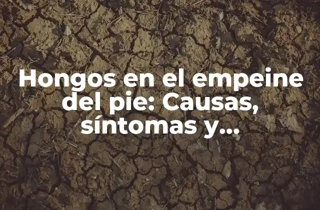 Hongos en el Empeine Del Pie: Causas, Síntomas y Tratamientos