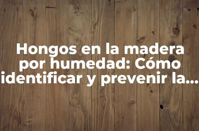 Hongos en la Madera por Humedad: Cómo Identificar y Prevenir la Podredumbre