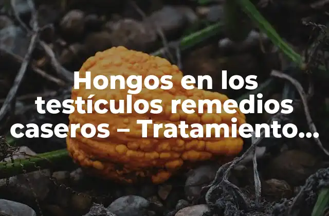 Hongos en los Testículos Remedios Caseros – Tratamiento Natural y Efectivo