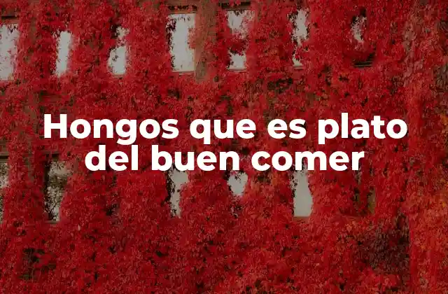 Hongos que es Plato Del Buen Comer