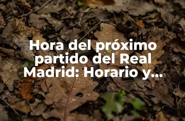 Hora Del Próximo Partido Del Real Madrid: Horario y Fecha de los Partidos