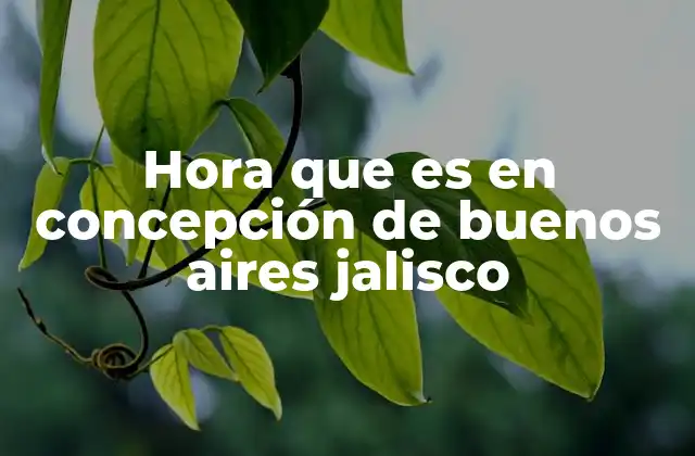 Diferencias horarias entre Concepción, Buenos Aires y Jalisco