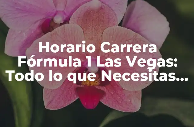 Horario Carrera Fórmula 1 las Vegas: Todo Lo que Necesitas Saber