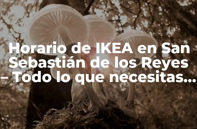 Horario de Ikea en San Sebastián de los Reyes – Todo Lo que Necesitas Saber
