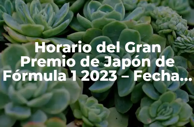 Horario Del Gran Premio de Japón de Fórmula 1 2023 – Fecha y Hora de Inicio