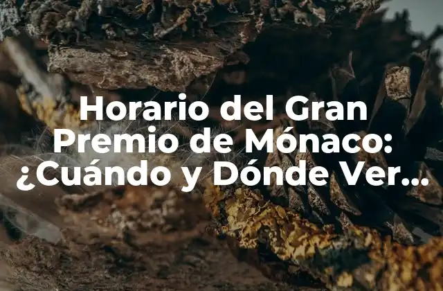 Horario Del Gran Premio de Mónaco: ¿cuándo y Dónde Ver la Carrera?