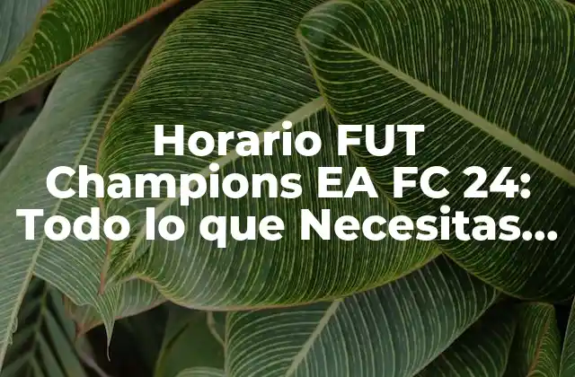Horario Fut Champions Ea Fc 24: Todo Lo que Necesitas Saber